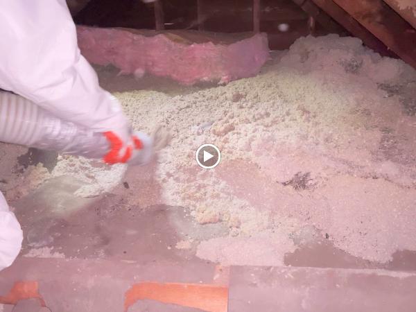 North Environmental Abatement Inc