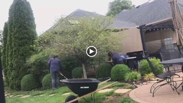 Absolute Lawn Care