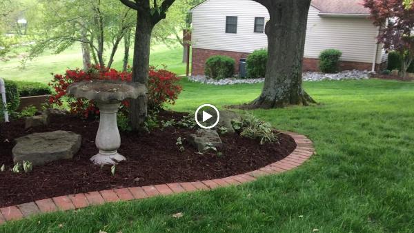 Absolute Lawn Care