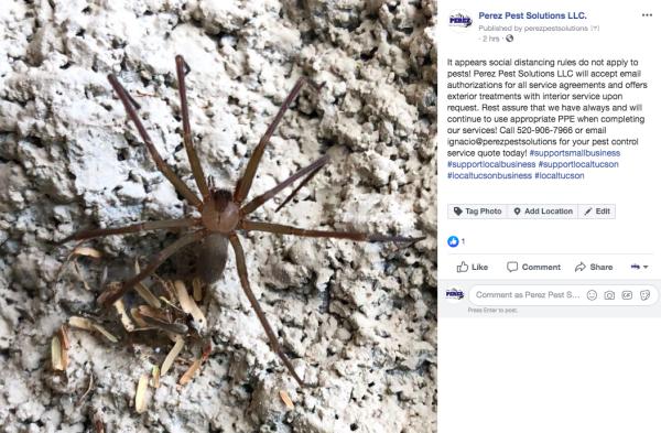 Perez Pest Solutions