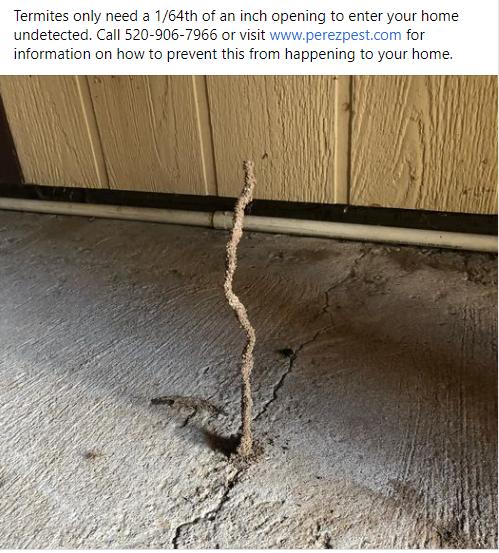 Perez Pest Solutions