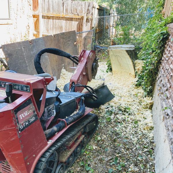 Nubbs Stump Removal