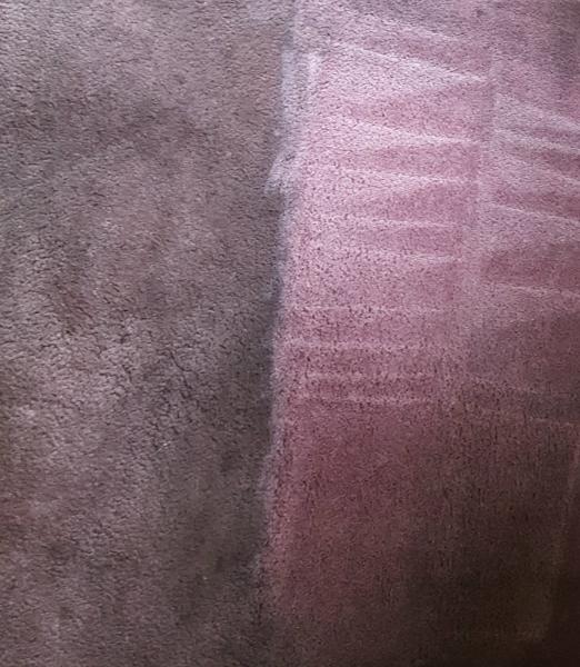 Cleaning Innovations Carpet Cleaning