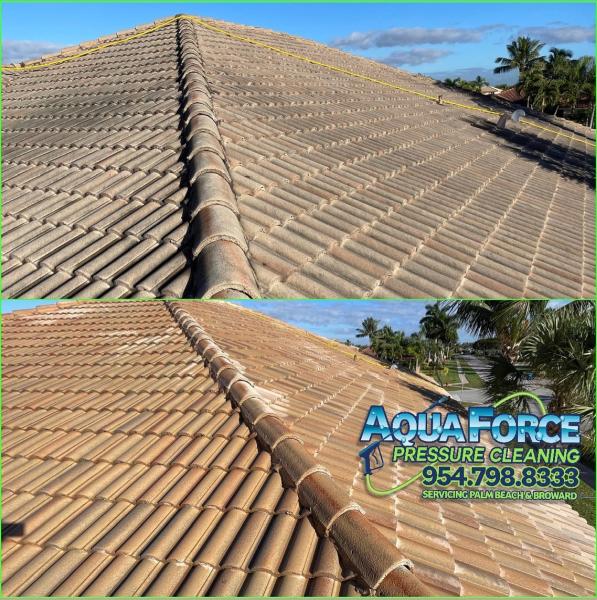 Aqua Force Pressure Cleaning