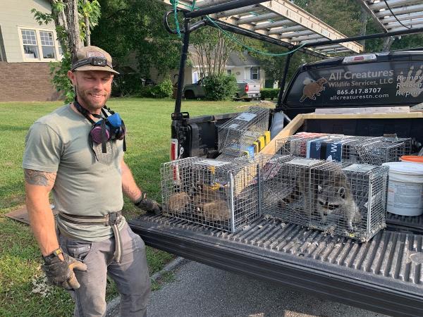 All Creatures Wildlife Services