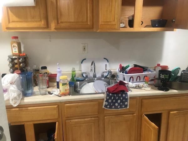 Dust Away Cleaning Services LLC