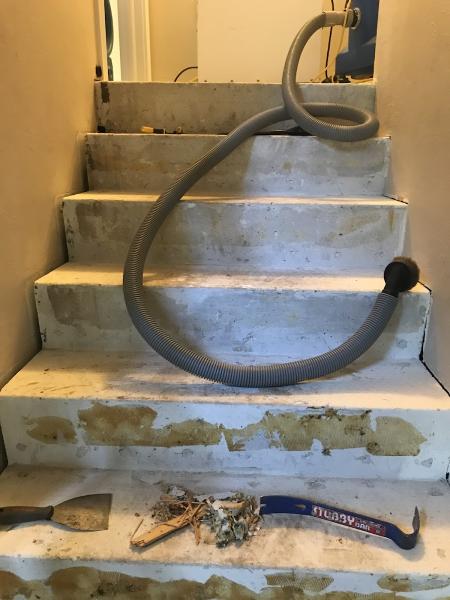 All Pro Mold Services