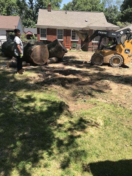 Woodchuck Tree Service