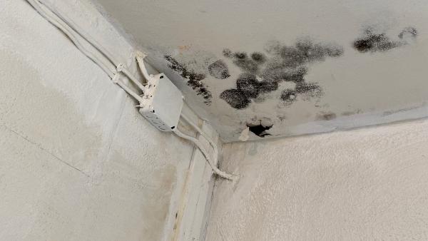 Arizona Indoor Air Quality & Environmental Testing LLC
