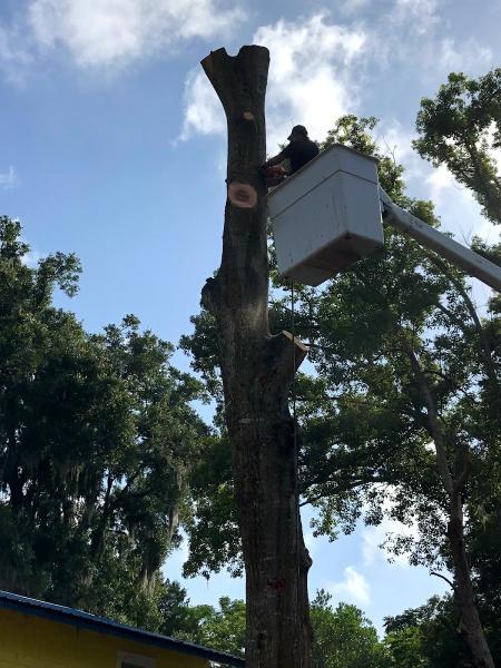 Estrada Tree Service Inc