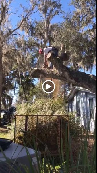 Estrada Tree Service Inc