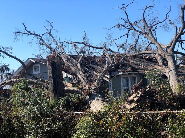 Estrada Tree Service Inc