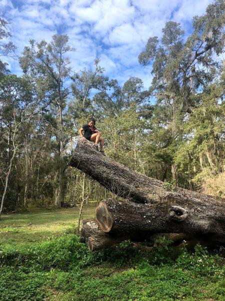 Estrada Tree Service Inc