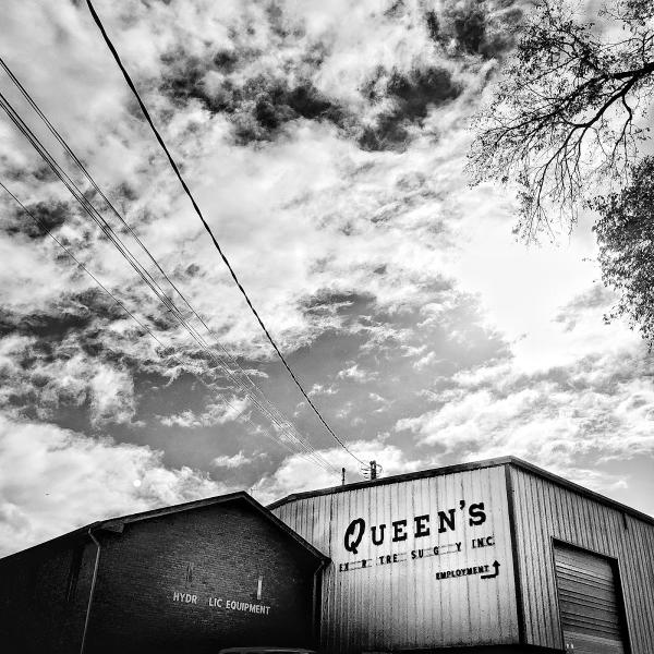 Queen's Tree Surgery