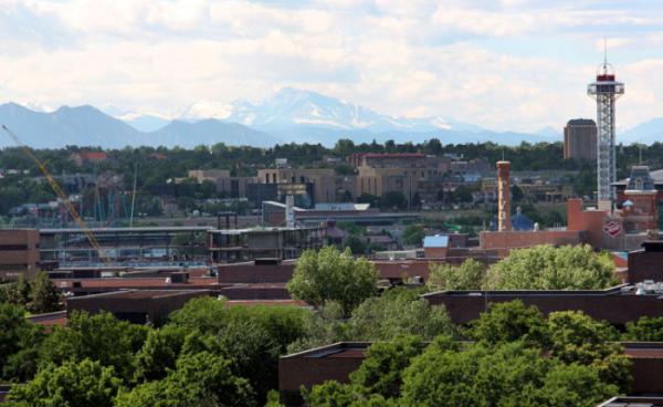 Colorado Pest Management