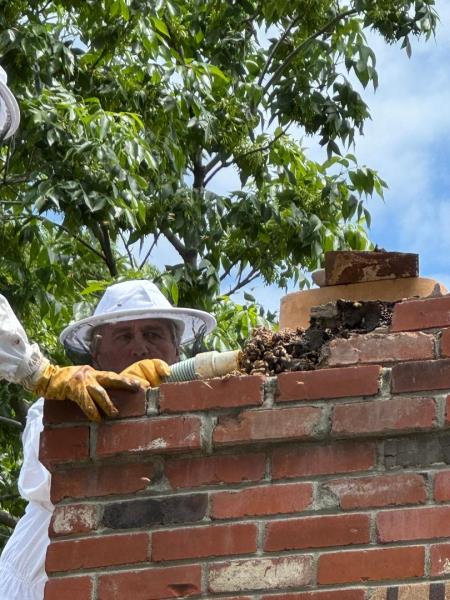 Colorado Pest Management