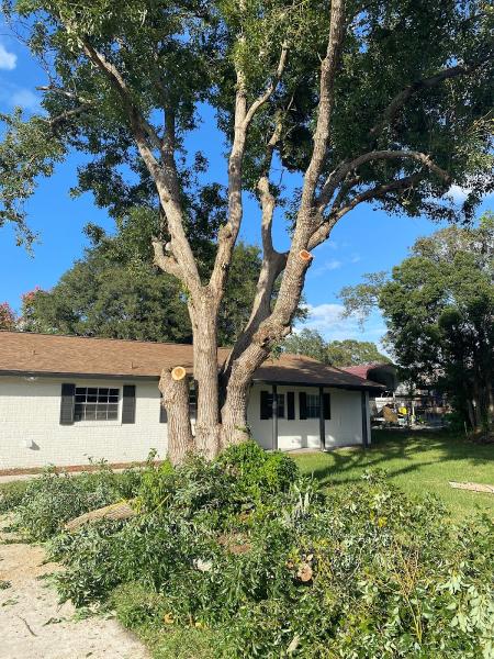 Earnest Touch Tree Service LLC