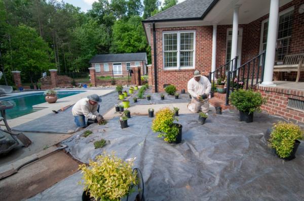 Lawn Creations Landscapes