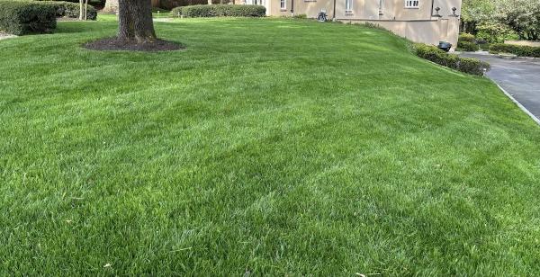 Terra Lawn Care Specialists