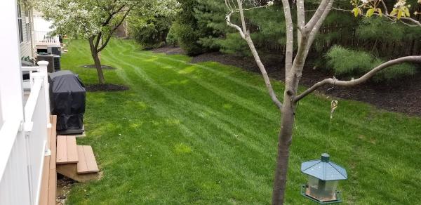 Terra Lawn Care Specialists
