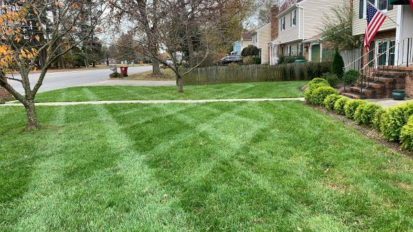 Colonial Landscaping LLC