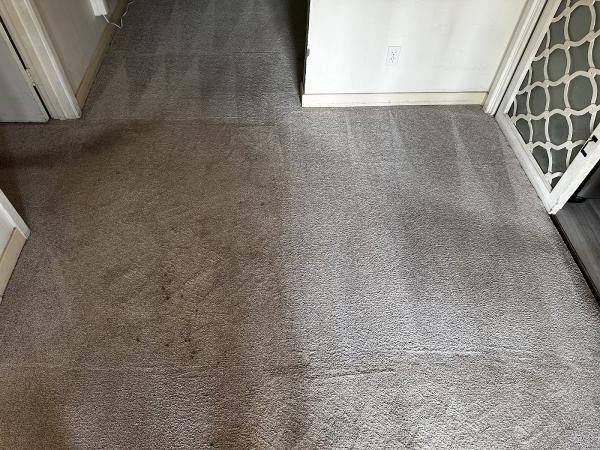 Revive & Restore Cleaning Service