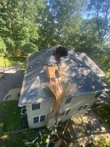 Timber Pros Tree Care LLC
