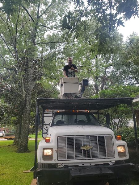 Big John Stump Grinding