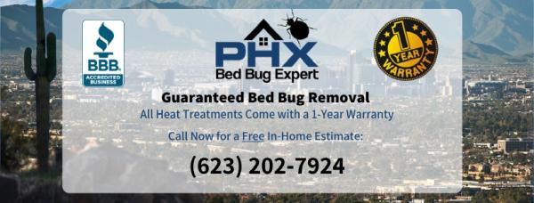 Phoenix Bed Bug Expert