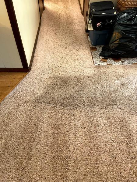 LPI Cleaning and Restoration