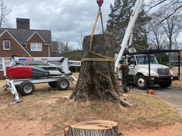 Athens Tree Service