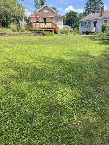 Galdamez Landscaping