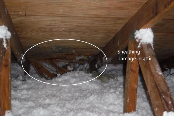 Streamline Home Inspection Services