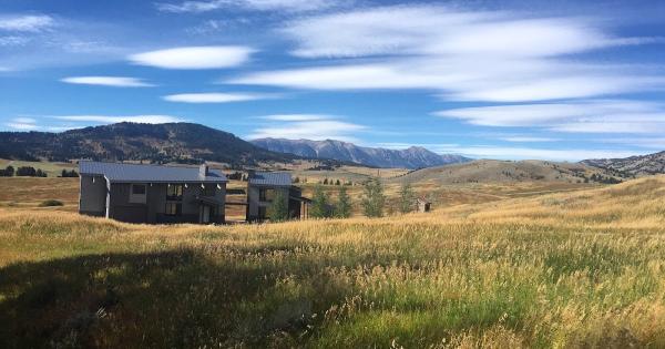 Bozehome + Co. Real Estate