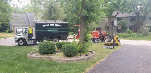 Brown Tree Service Inc