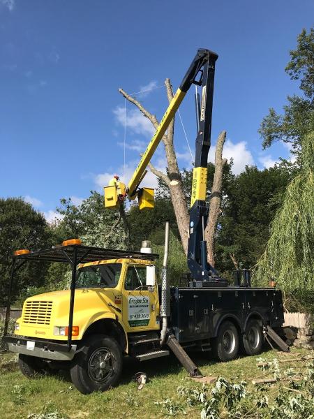 Grogan & Son Tree Service