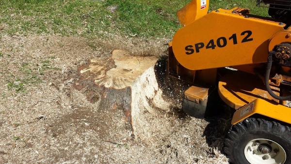 Grogan & Son Tree Service