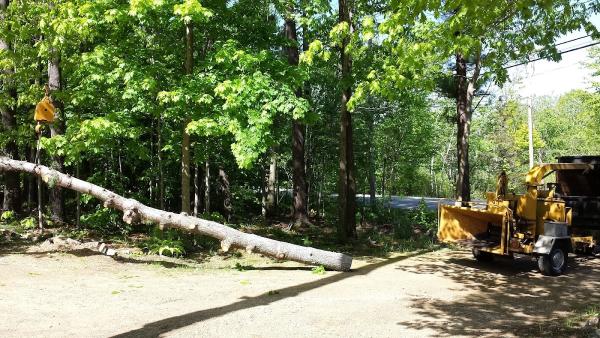 Grogan & Son Tree Service
