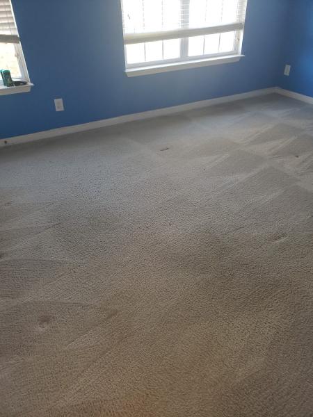 Deep Clean Carpet & Tile