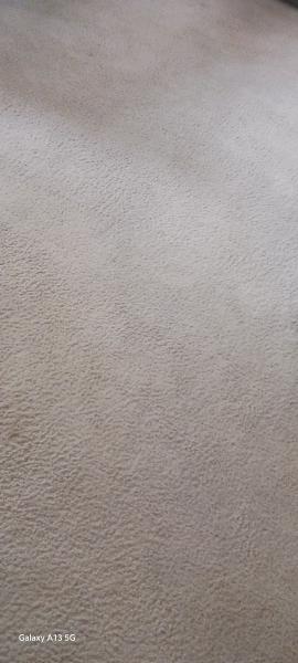 Deep Clean Carpet & Tile