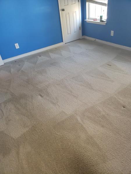 Deep Clean Carpet & Tile