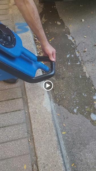 Going Green Carpet and Upholstery Cleaning