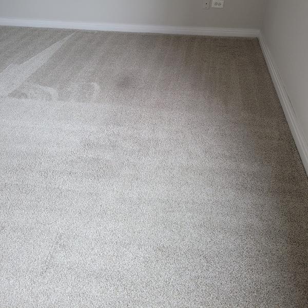 Going Green Carpet and Upholstery Cleaning