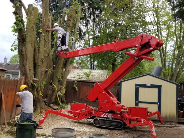 North West Landscape Care and Tree Service