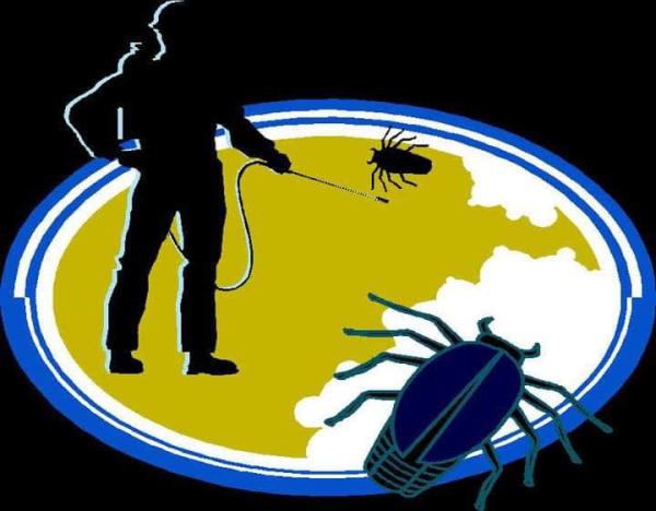 Elite Termite & Pest Control