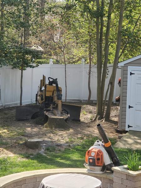 RW Stump Grinding