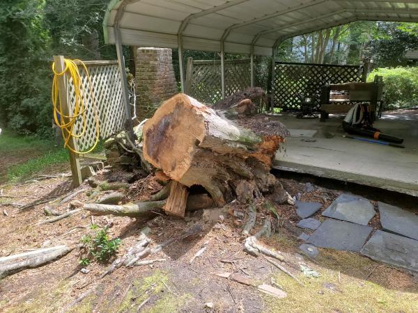 RW Stump Grinding