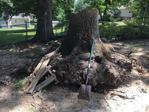 RW Stump Grinding
