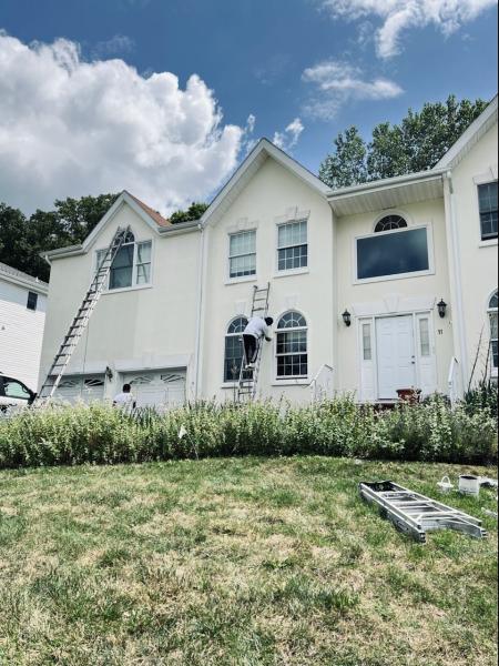 Guss Professional Painting