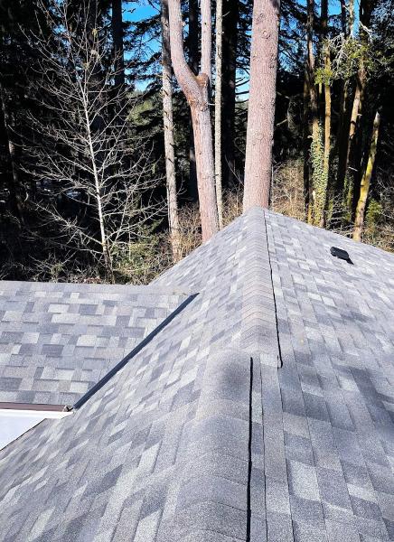 2nd Chance Roof & Chimney LLC